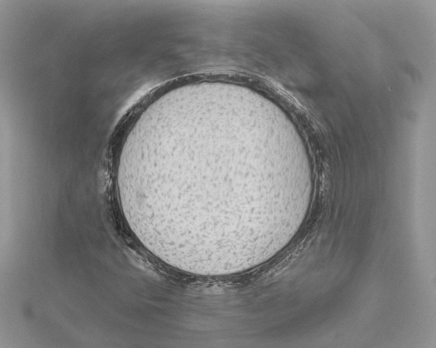 X0000115551400200912041022