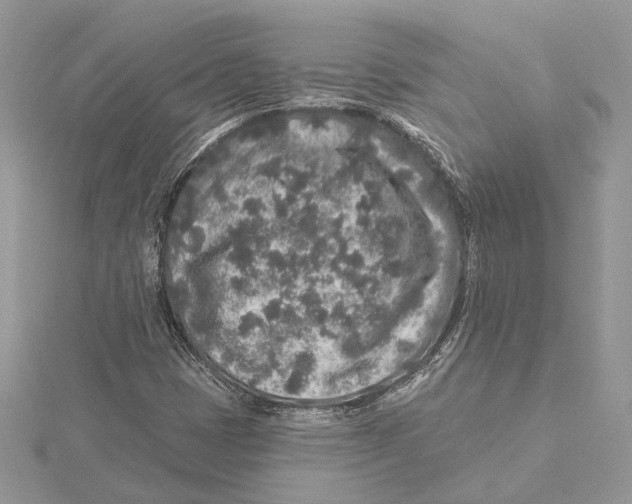 X0000115551401200912041022