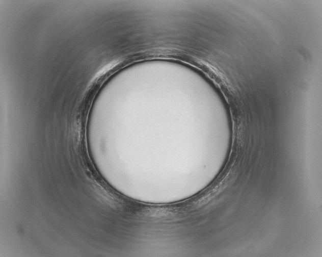 X0000115551402200912041022