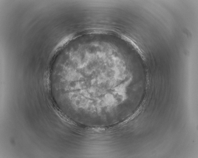 X0000115551403200912041022