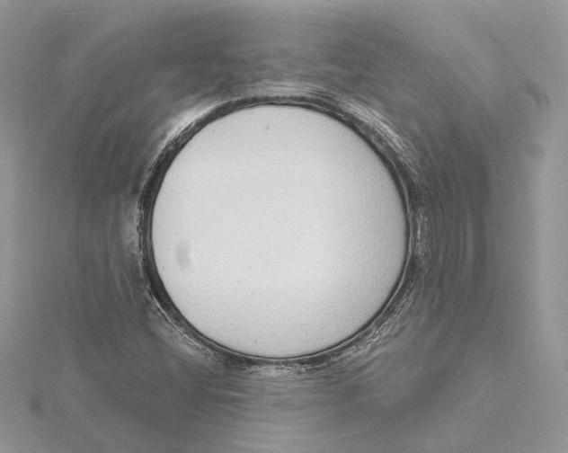 X0000115551404200912041022