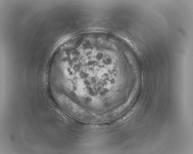 X0000115551405200912041022