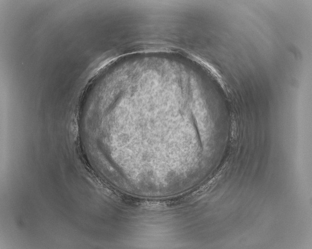 X0000115551407200912041022