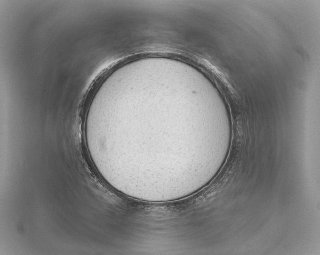 X0000115551408200912041022