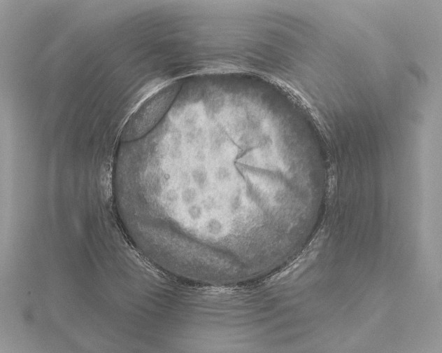 X0000115551409200912041022