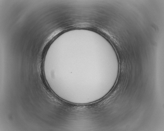 X0000115551410200912041022