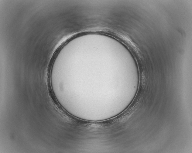 X0000115551412200912041022