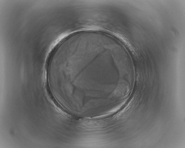 X0000115551414200912041023