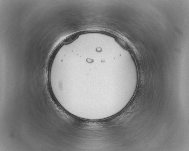 X0000115551416200912041023