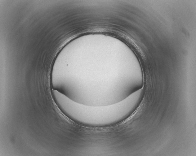 X0000115551417200912041023