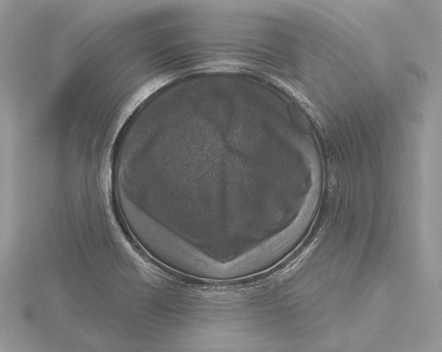 X0000115551418200912041023