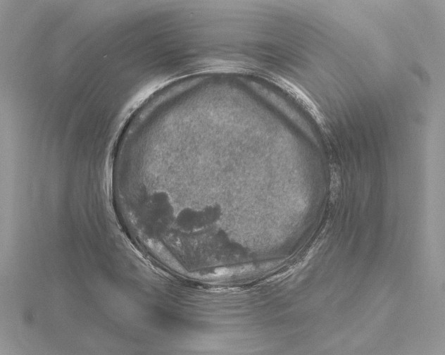 X0000115551419200912041023