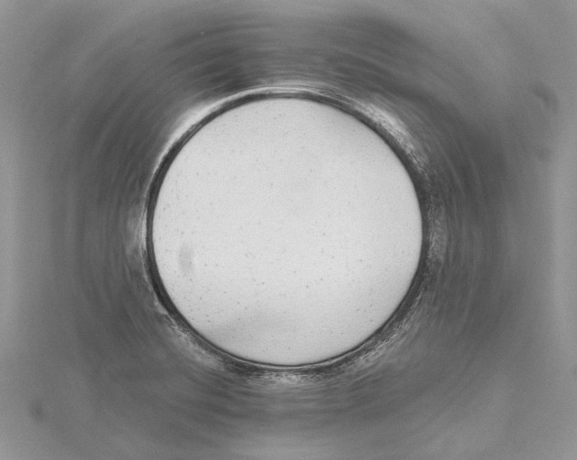 X0000115551420200912041023