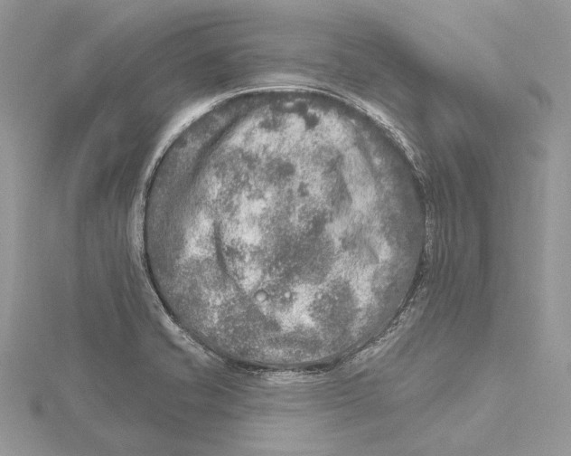 X0000115551421200912041023