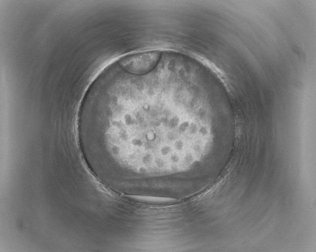 X0000115551423200912041023