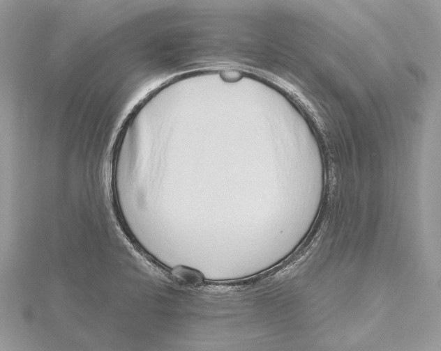 X0000115551424200912041023