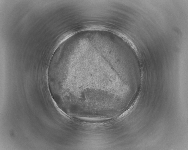 X0000115551425200912041023