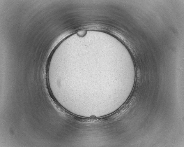 X0000115551426200912041023