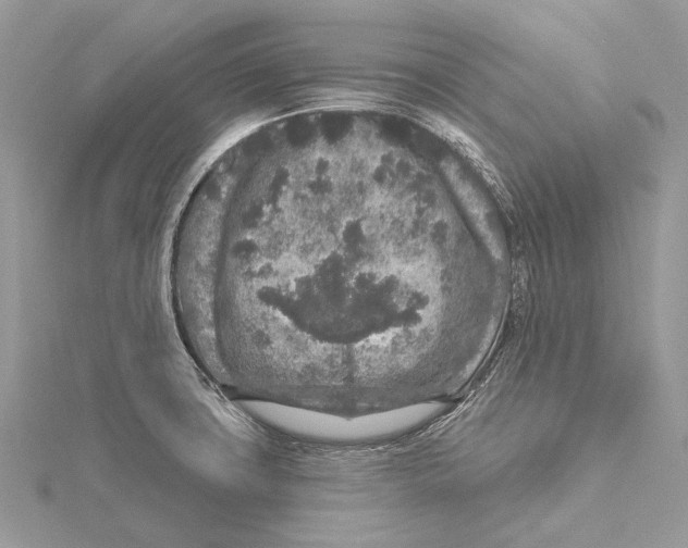 X0000115551427200912041023