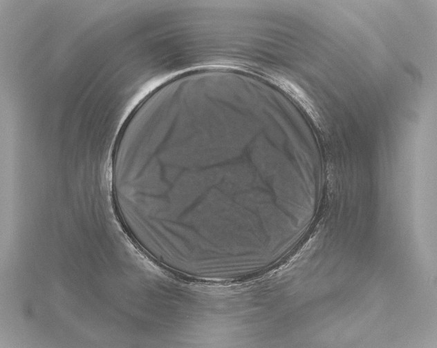 X0000115551428200912041023