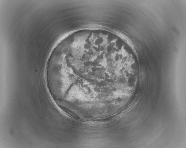 X0000115551429200912041023