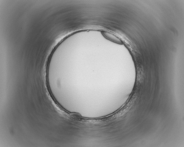 X0000115551430200912041023