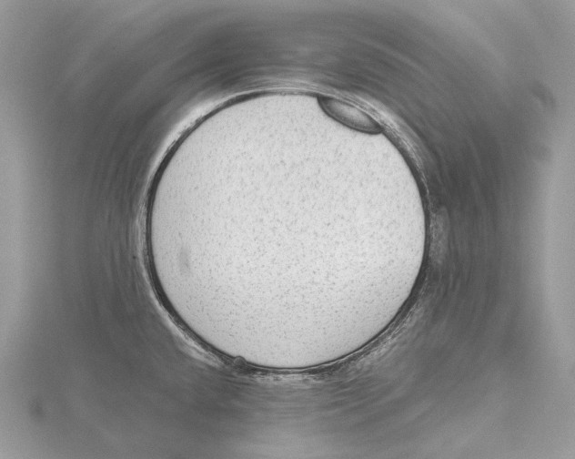 X0000115551432200912041023