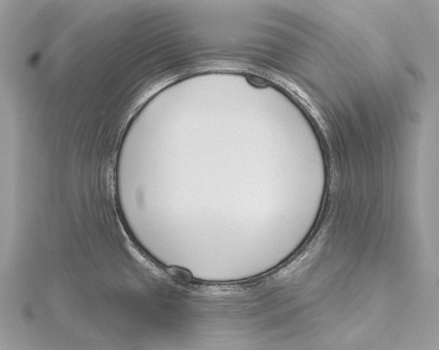 X0000115551433200912041023