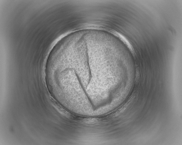 X0000115551435200912041023