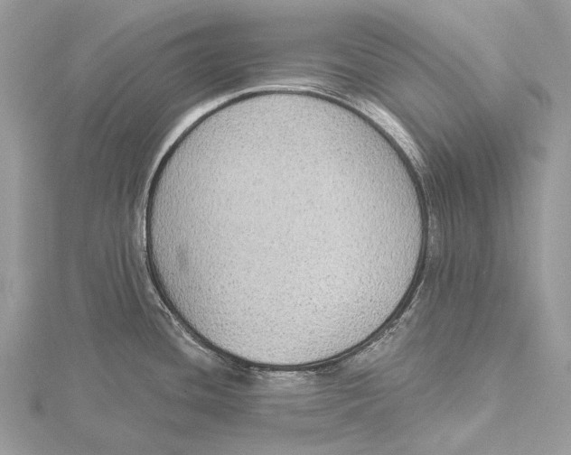 X0000115551436200912041023