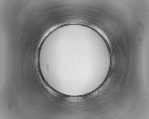 X0000115551437200912041023