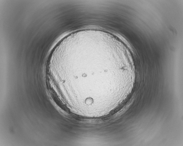 X0000115551438200912041023