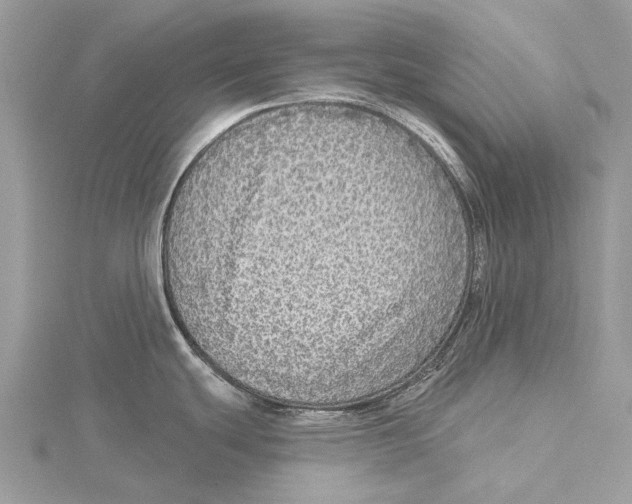 X0000115551439200912041023