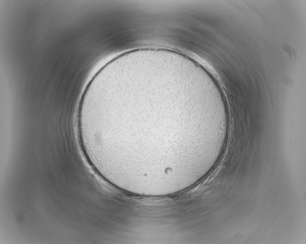 X0000115551440200912041023