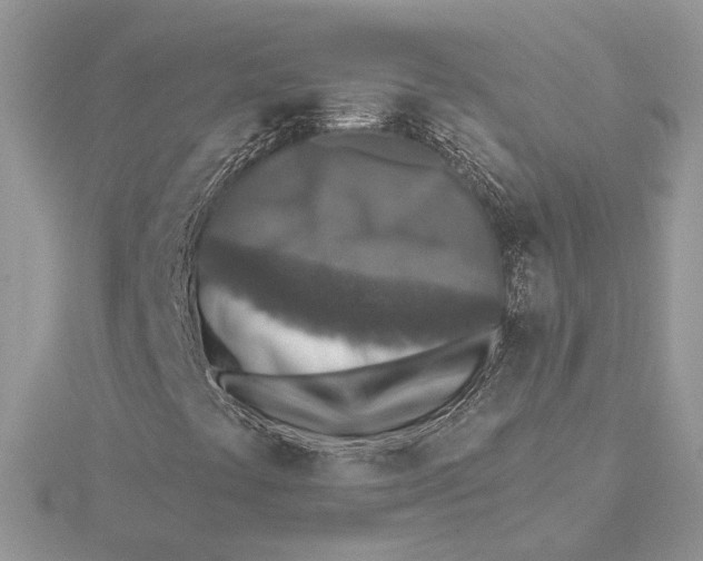 X0000115551441200912041022