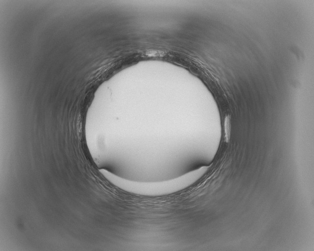 X0000115551443200912041022