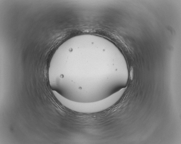 X0000115551444200912041022