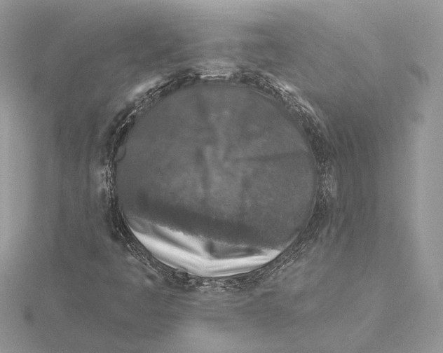 X0000115551445200912041022