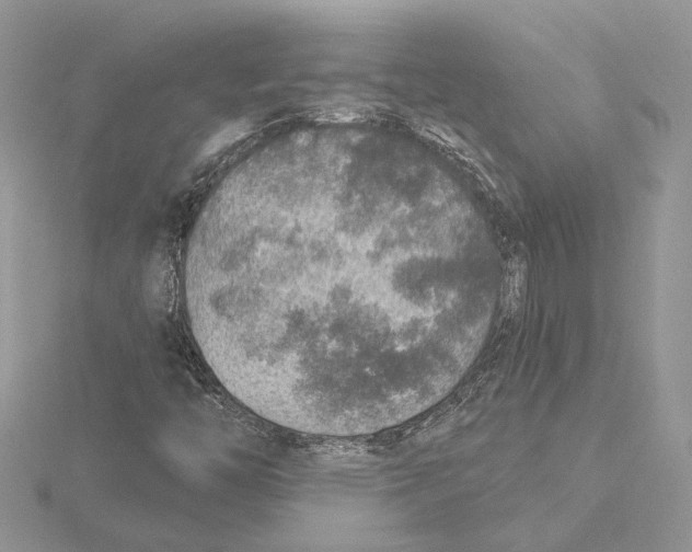 X0000115551446200912041022