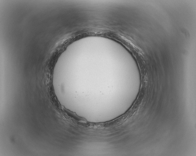 X0000115551447200912041022