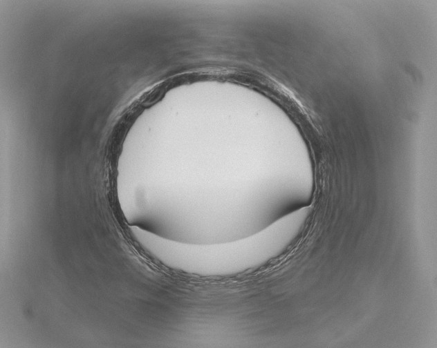 X0000115551448200912041022