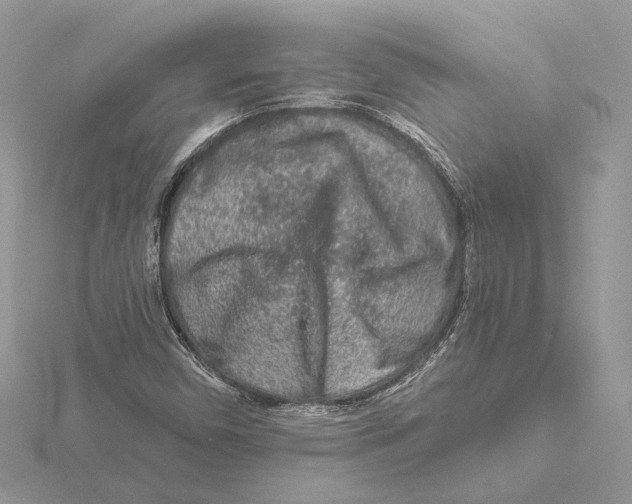 X0000115551450200912041022