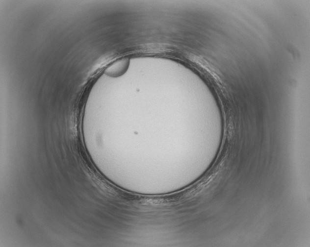 X0000115551451200912041022