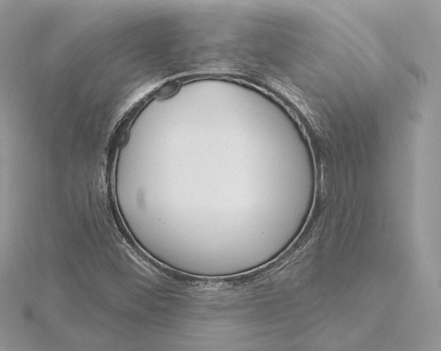 X0000115551452200912041022