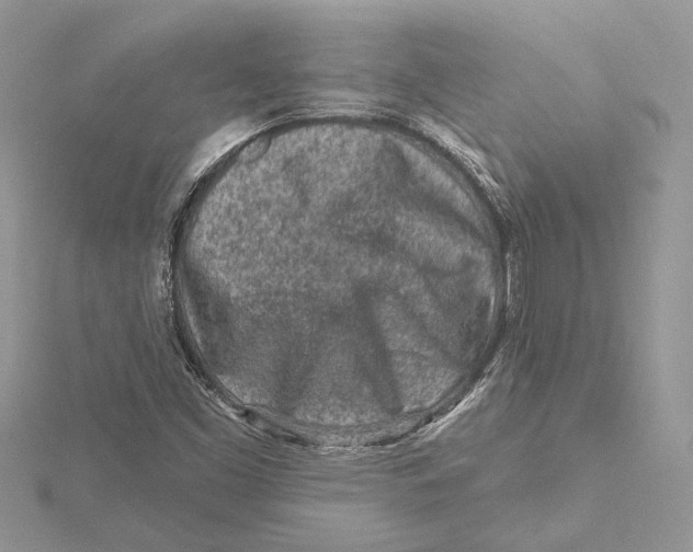 X0000115551453200912041022