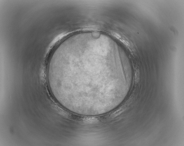 X0000115551454200912041022