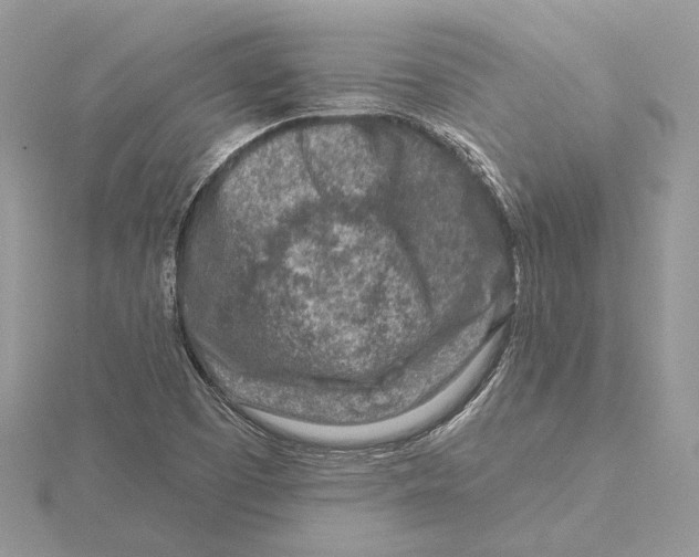 X0000115551457200912041022