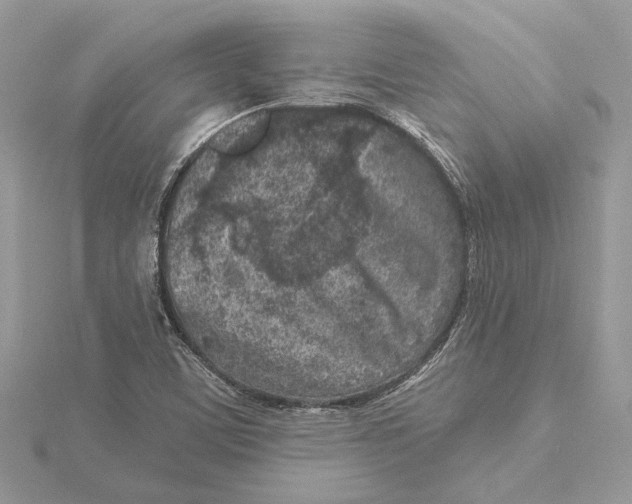 X0000115551459200912041022