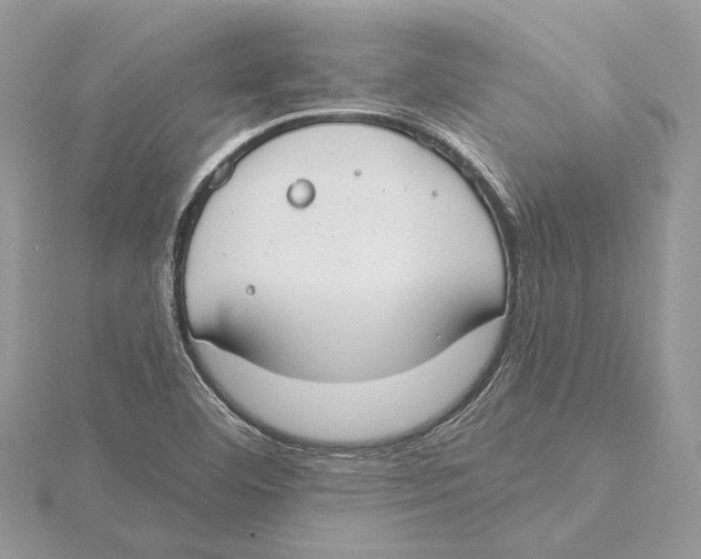 X0000115551460200912041022