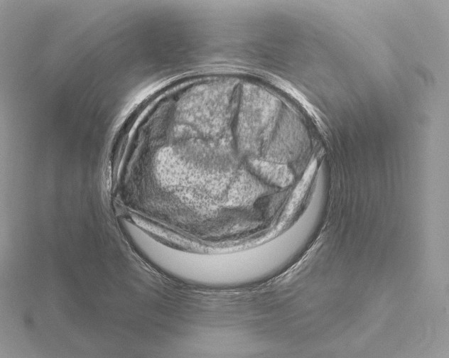 X0000115551461200912041022